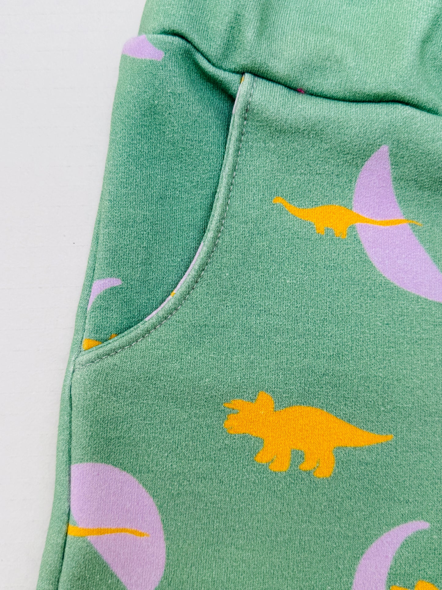Dinosaur Organic Jersey Shorts