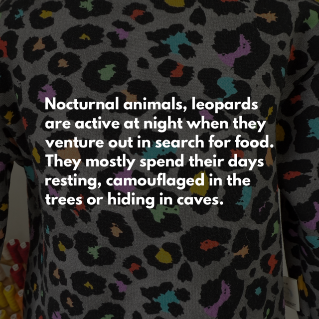 Leopard Multi Colour Jumper