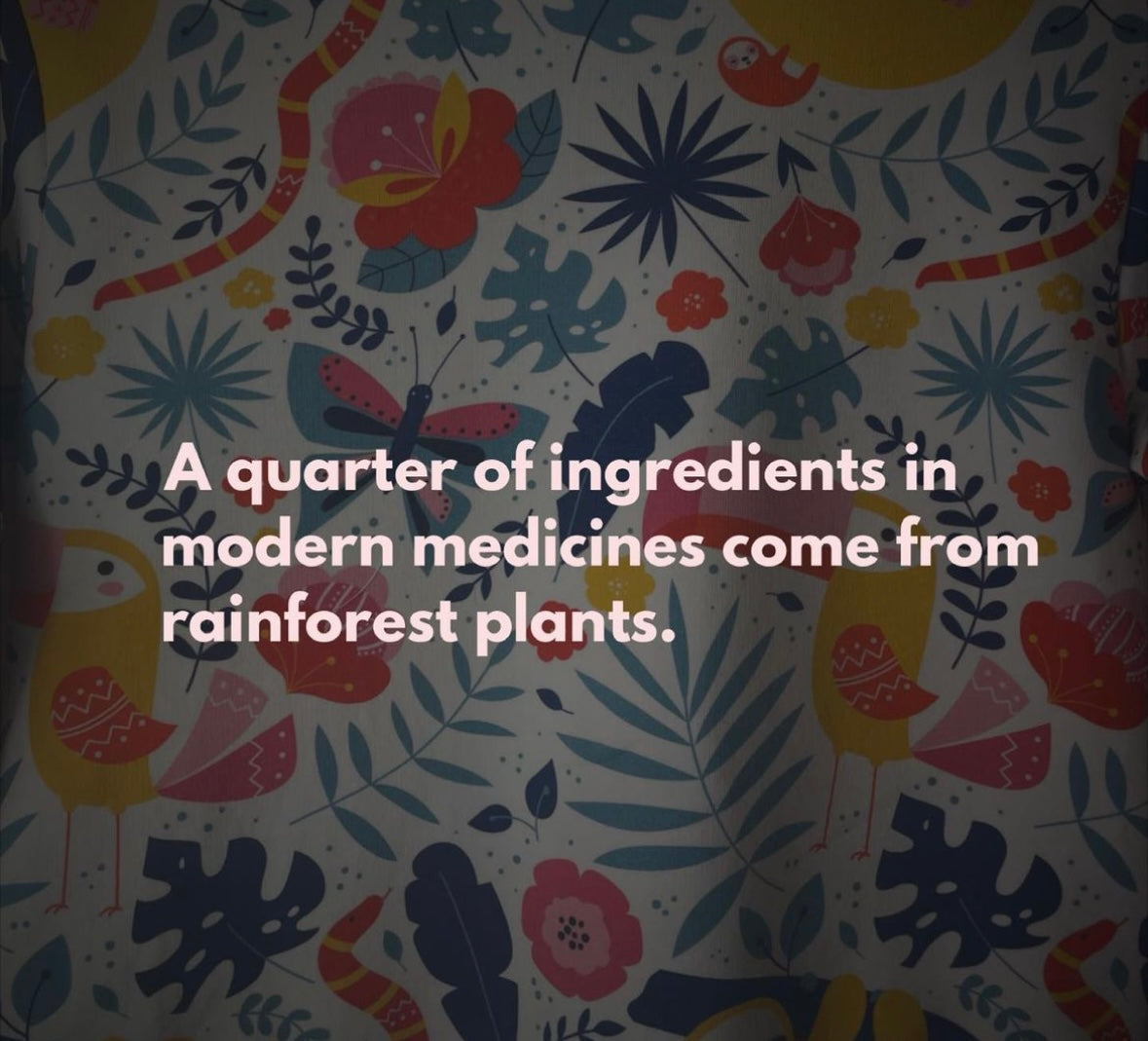 Rainforest Friends Jumper