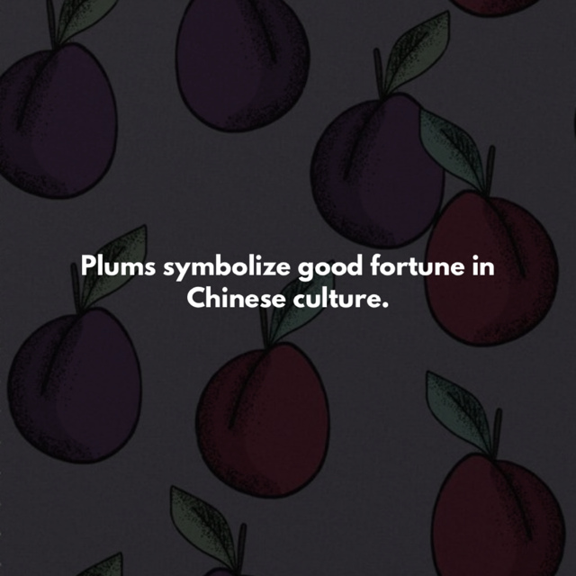 Plum Organic Sweatpants