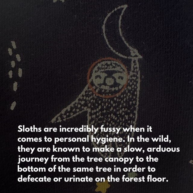 Sloths in Space Leggings