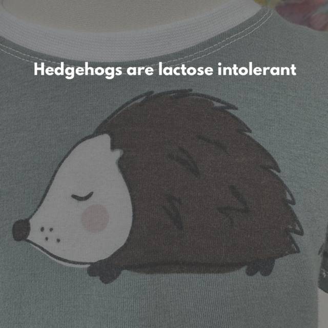 Hedgehog Jersey Dress