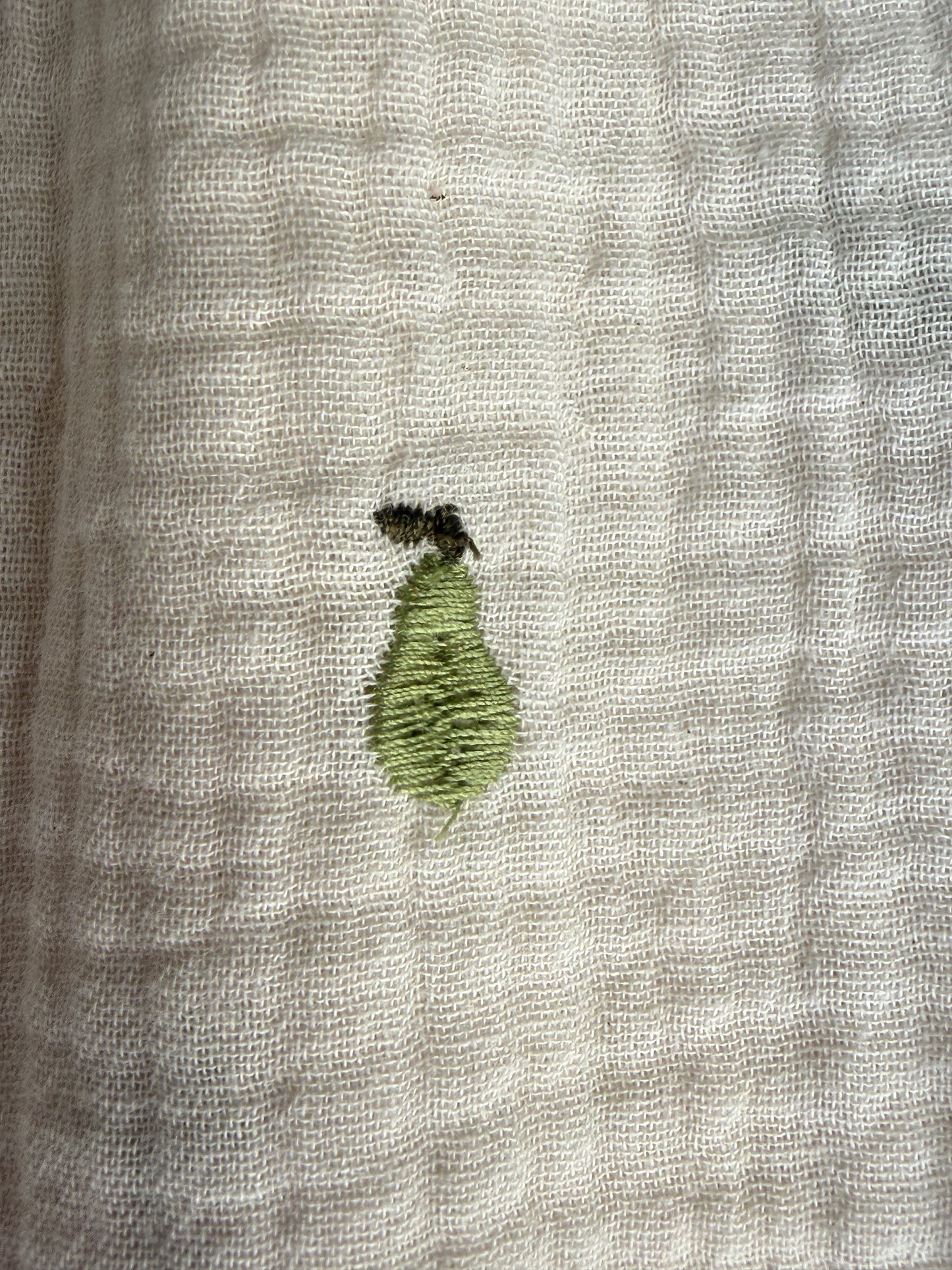 100% Cotton Muslin Kids Trousers with emroidered Pear detail