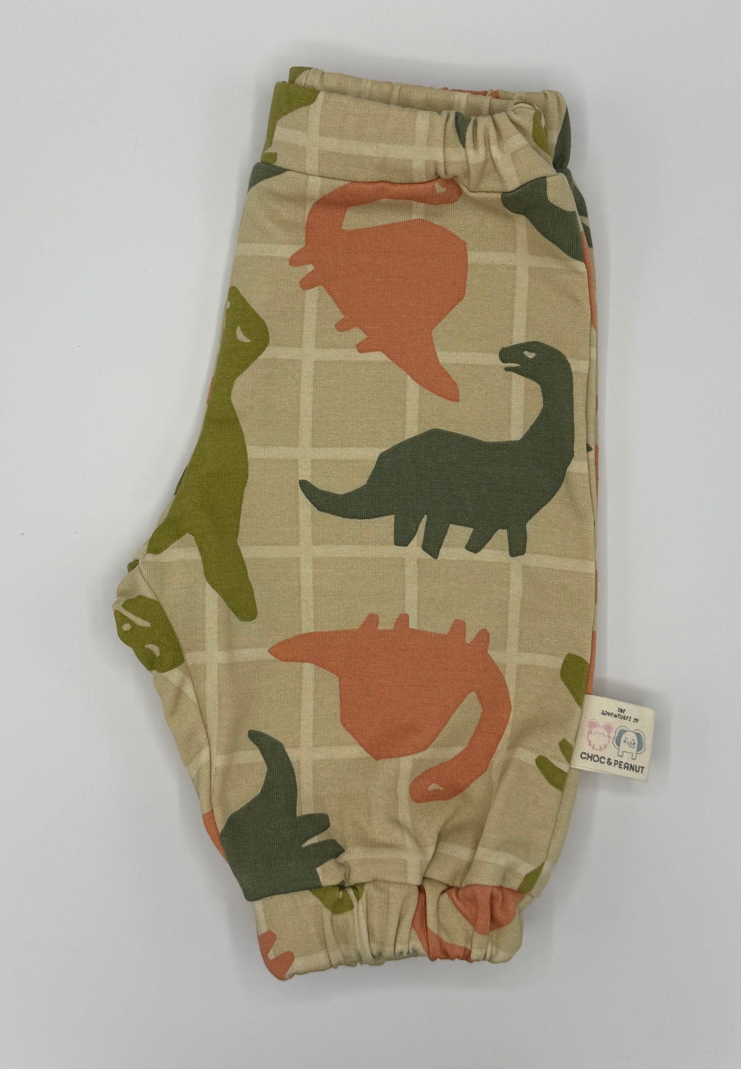 Sustainable Unisex Kids Dinosaur Sweatpants