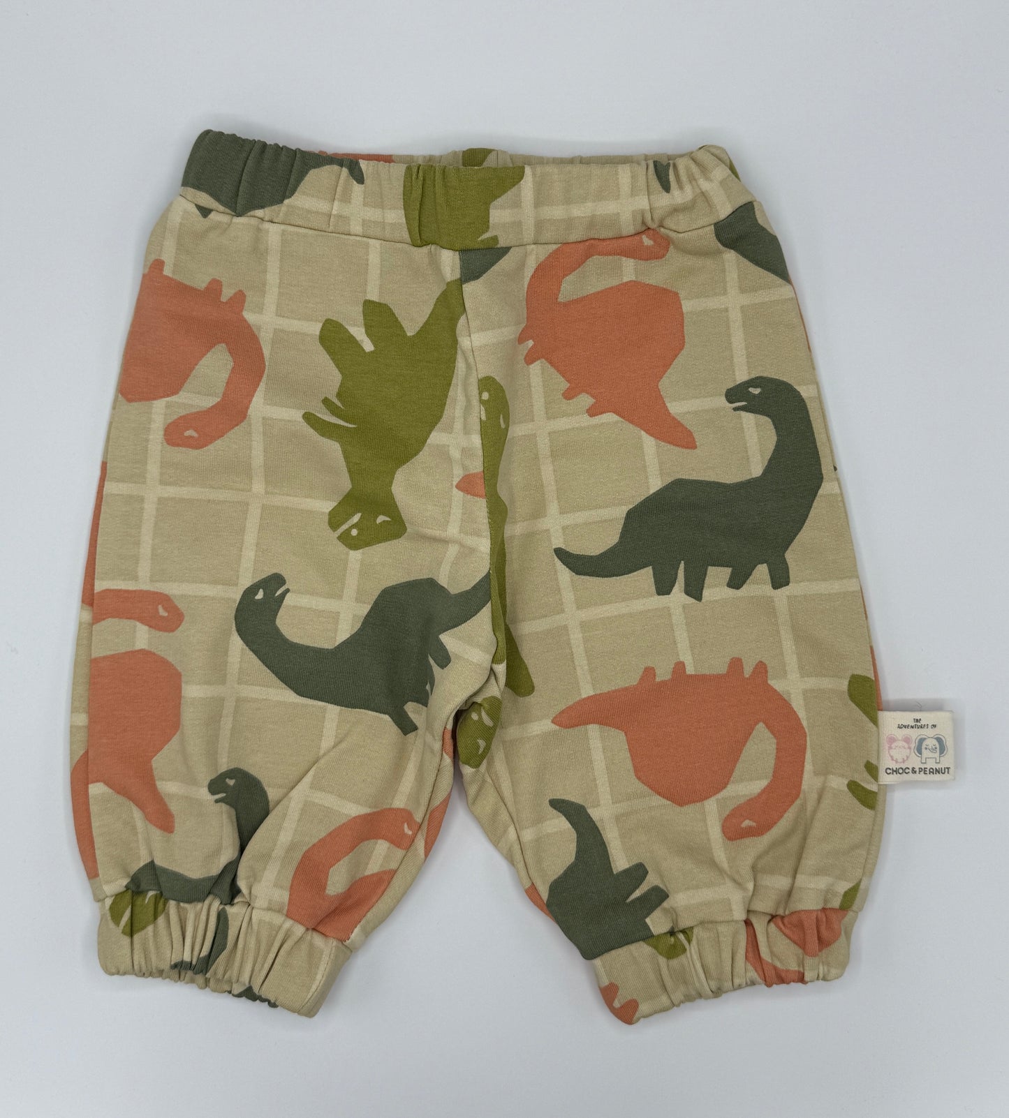 Sustainable Unisex Kids Dinosaur Sweatpants