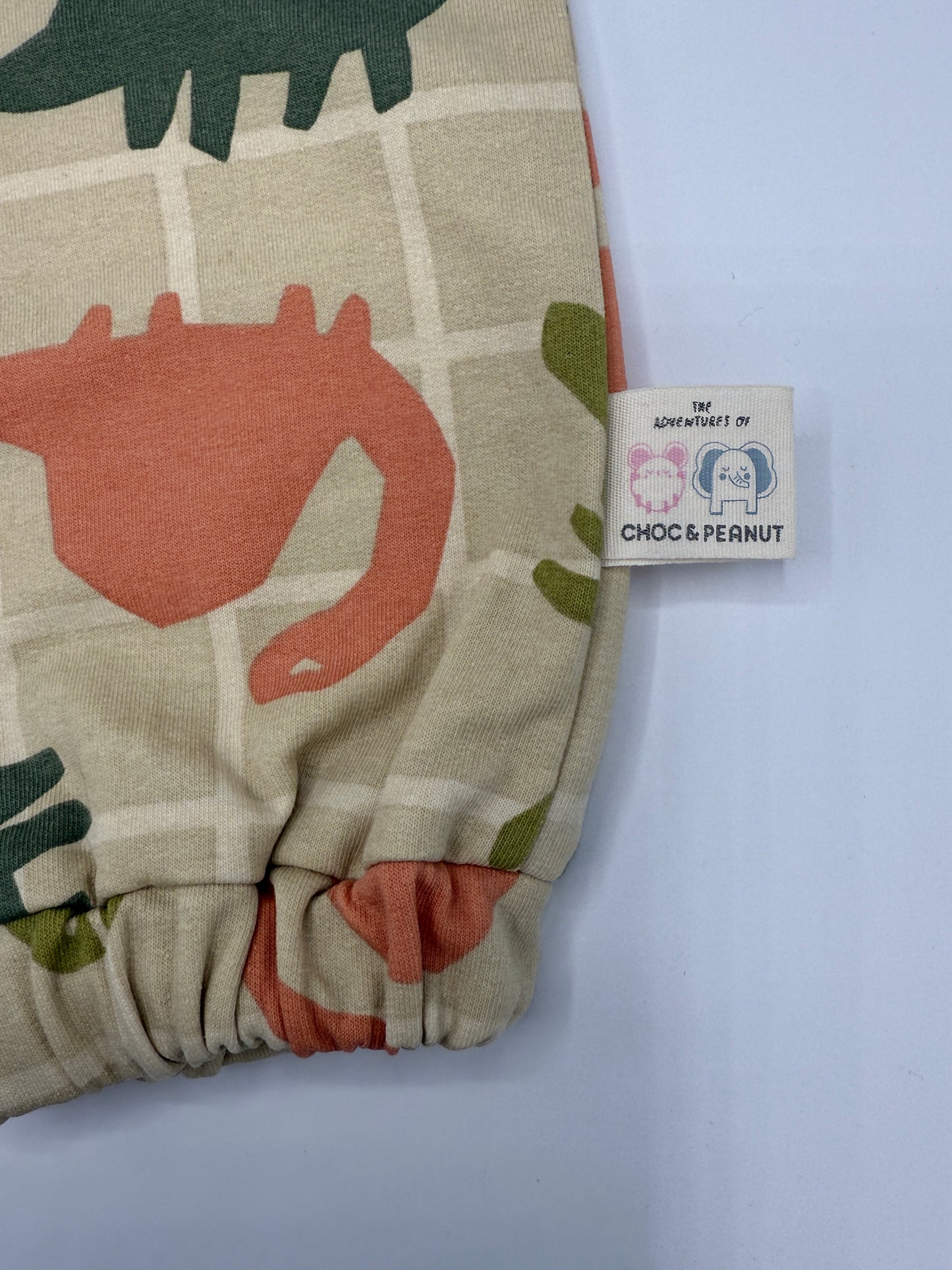 Sustainable Unisex Kids Dinosaur Sweatpants