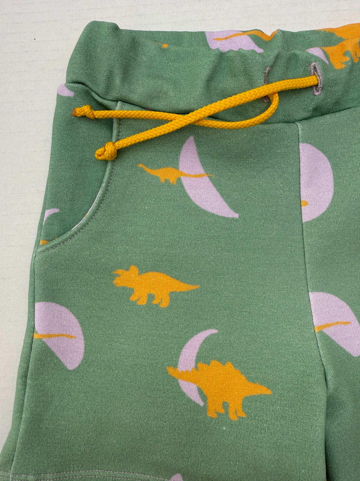Dinosaur Organic Jersey Shorts