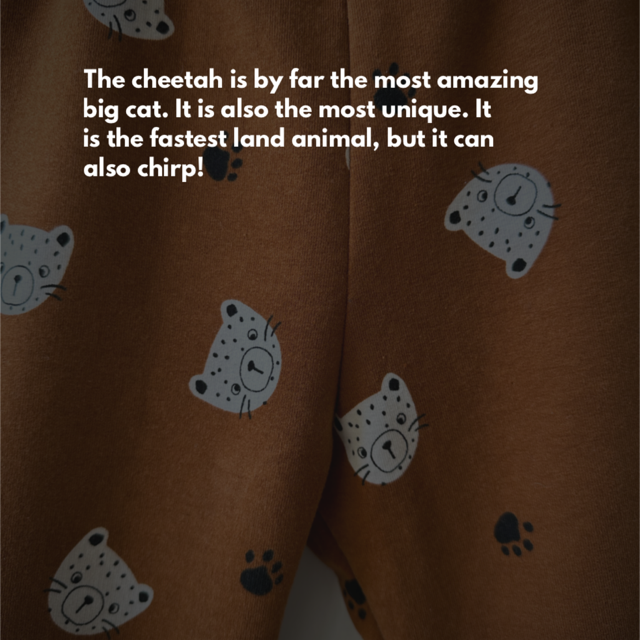 Cheetah Sweatpants