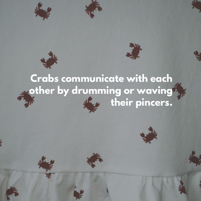 Crabby Peplum Top