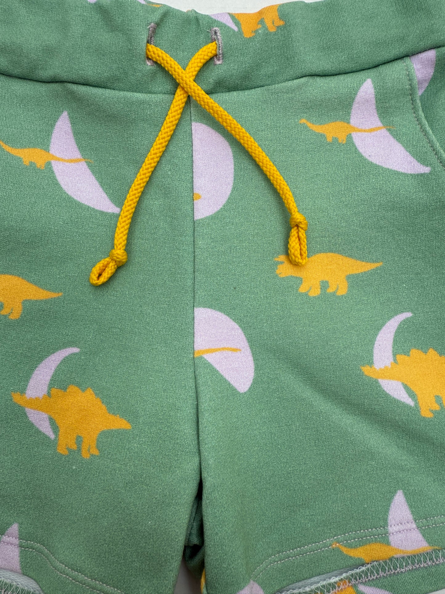 Dinosaur Organic Jersey Shorts