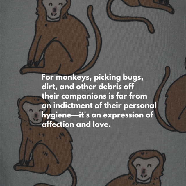 Naughty Monkey Sweatpants